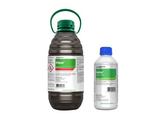 Obrazek posiada pusty atrybut alt - plik: Zrzut-ekranu-2025-08-22-093249.png